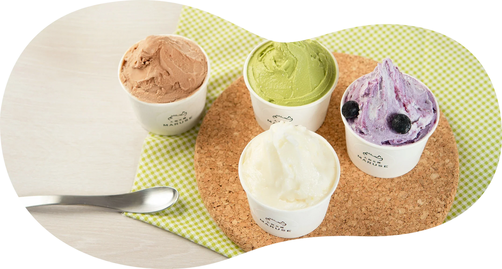 MARUSE】奈良のジェラートセット10種12個 送料無料 ならわし Narawashi