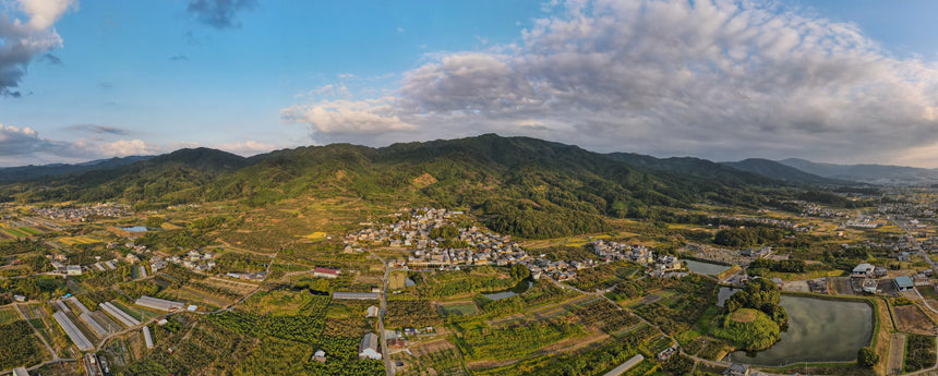 【松田果樹園+】山の辺の果実ジェラート6個セット