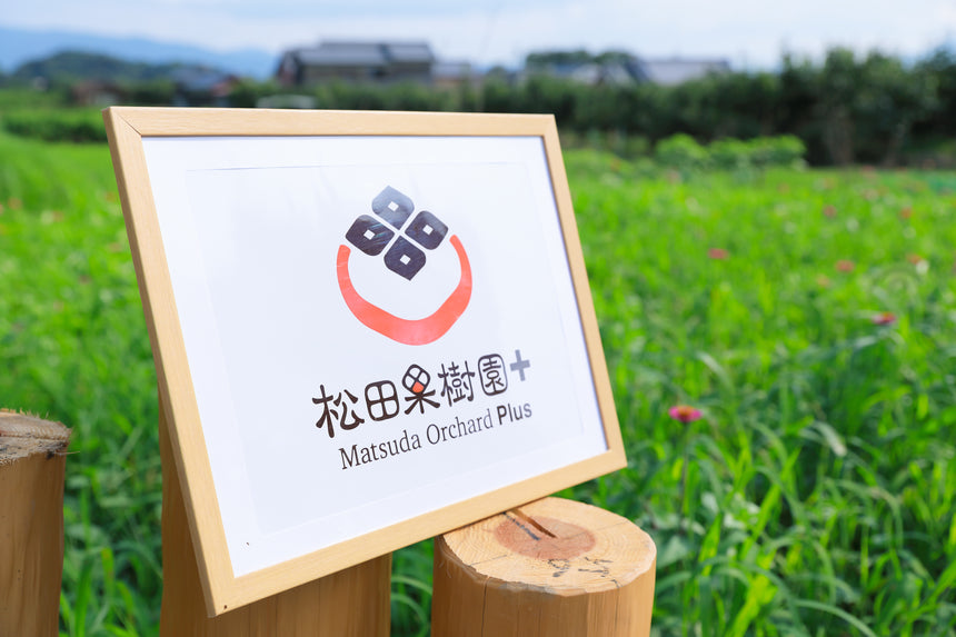【松田果樹園+】山の辺の果実ジェラート6個セット