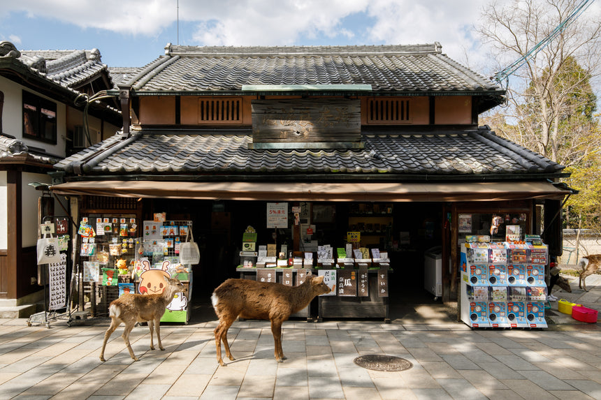 【森奈良漬店】奈良漬オリジナル詰め合わせセット