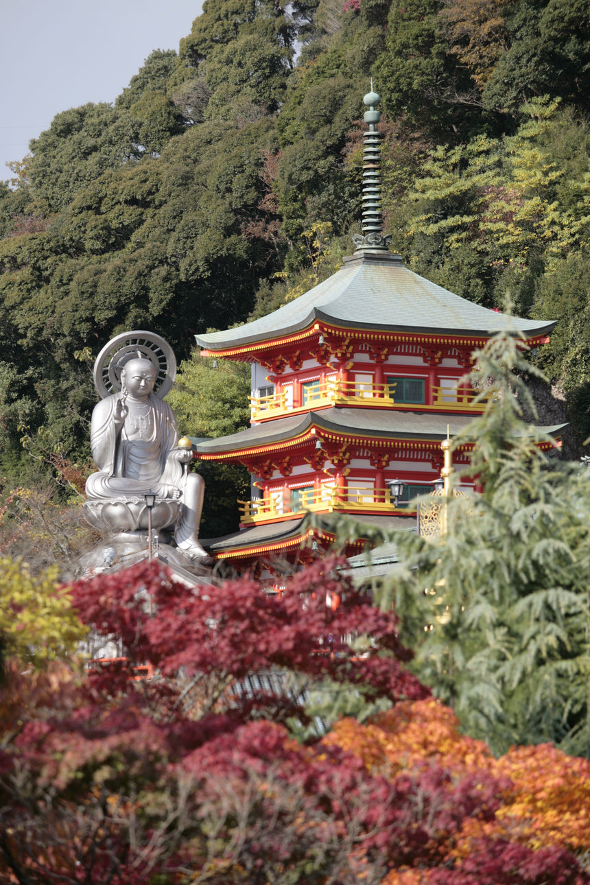 【玉蔵院】寅小紋 ポーチ (御朱印帳サイズ)
