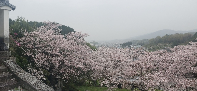 【聖林寺】写真集『天平の美仏』