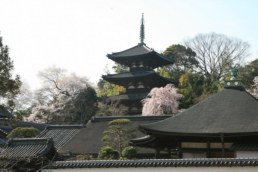 【當麻寺 中之坊】写経用紙『称讃浄土経』一巻15枚組