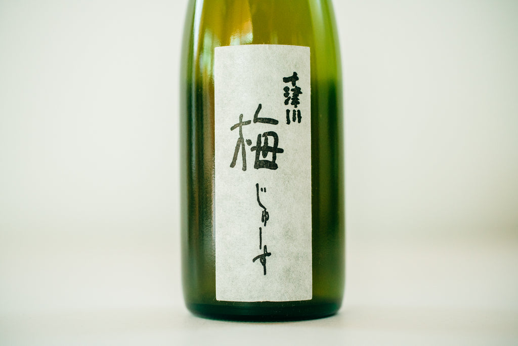 山採りバイカツツジ　梅1 H165cm W90cm 山採りバイカツツジ 梅1 H165cm W90cm 山採りバイカツツジ 梅1 H165cm