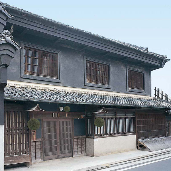 4-2_600x600_crop_center.jpg?v=