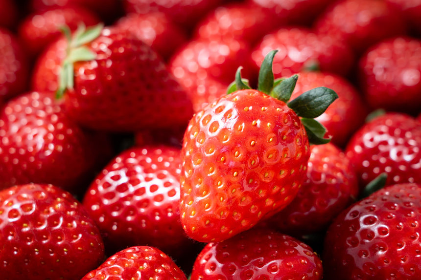 【Lip～幸せいちご園～】古都華