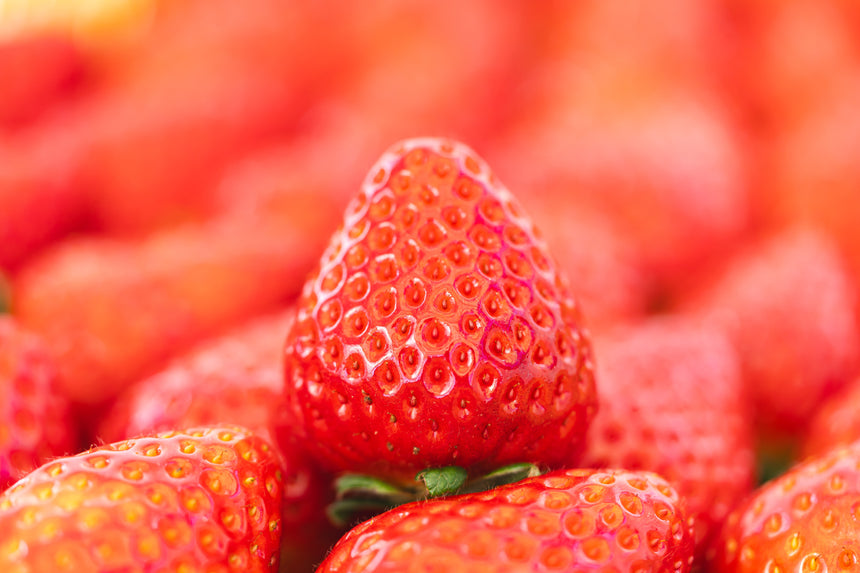 【Lip～幸せいちご園～】古都華