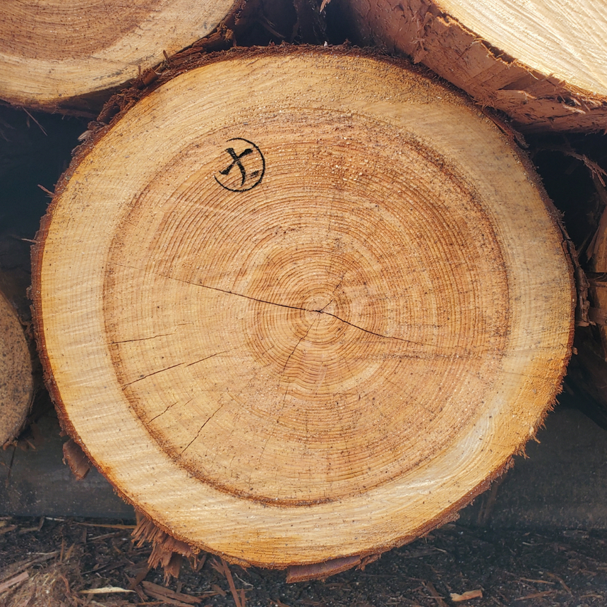 【松田商店】吉野ヒノキの精油