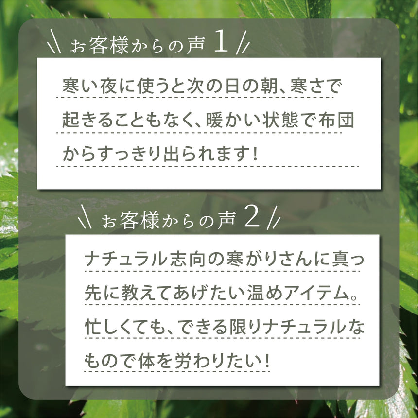 【松田商店】大和当帰葉とヨモギの天然入浴用ハーブ（8個）