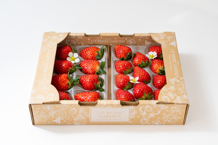 【Lip～幸せいちご園～】古都華