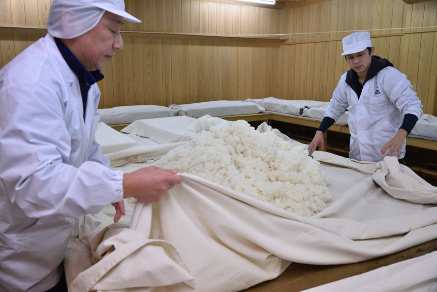 【筒井商店】豊臣Bros.