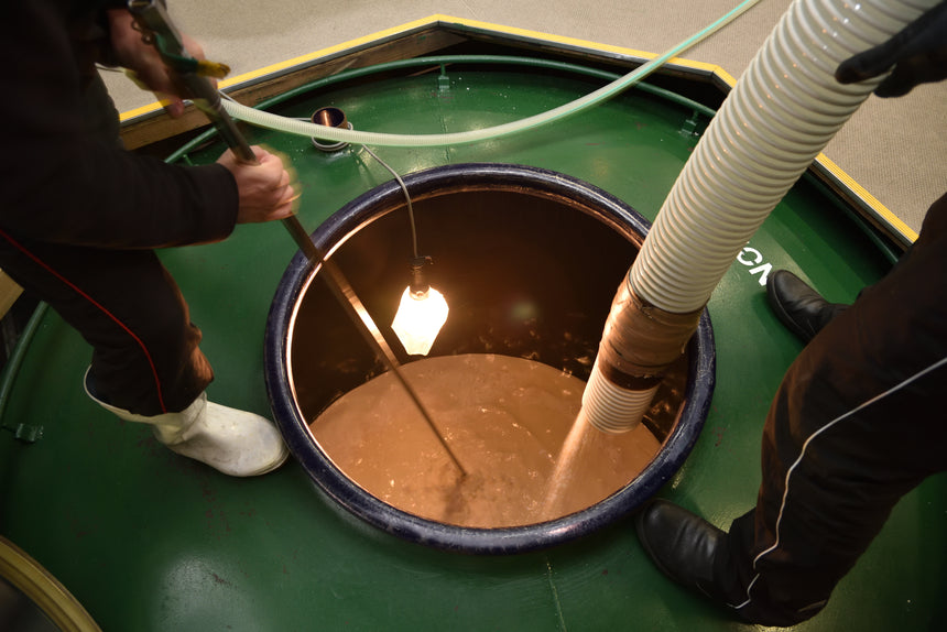 【筒井商店】豊臣Bros.