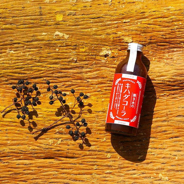 パタデコーラ ヤマガタクラフト YATA COLA ヤタコーラ 375ml 角瓶 濃縮タイプ | 酒田